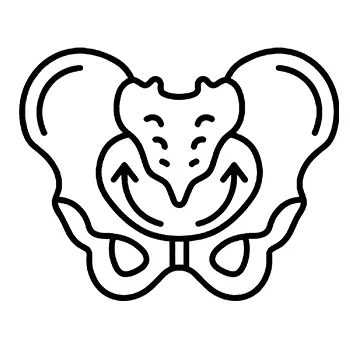 Icon of a Pelvis